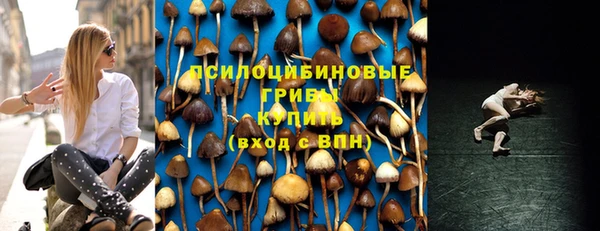 первитин Арсеньев