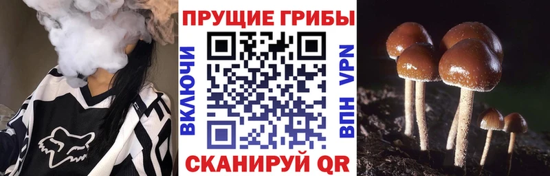 Купить закладки  Ярцево  Псилоцибиновые грибы ЛСД 