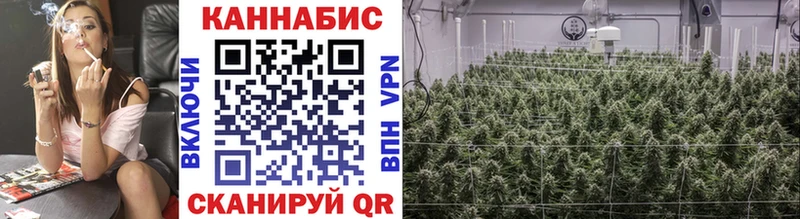 Купить  Ярцево  Каннабис MAZAR 